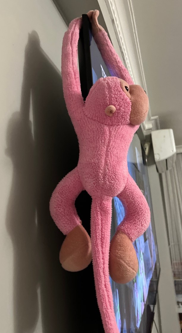 Pembe Peluş Maymun Oyuncak - Görsel 2