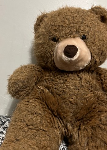 Kahverengi Peluş Ayı Oyuncak - Görsel 2