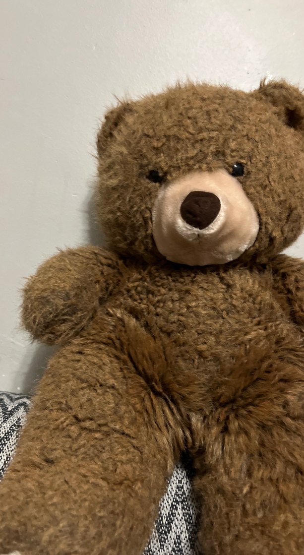 Kahverengi Peluş Ayı Oyuncak - Görsel 2