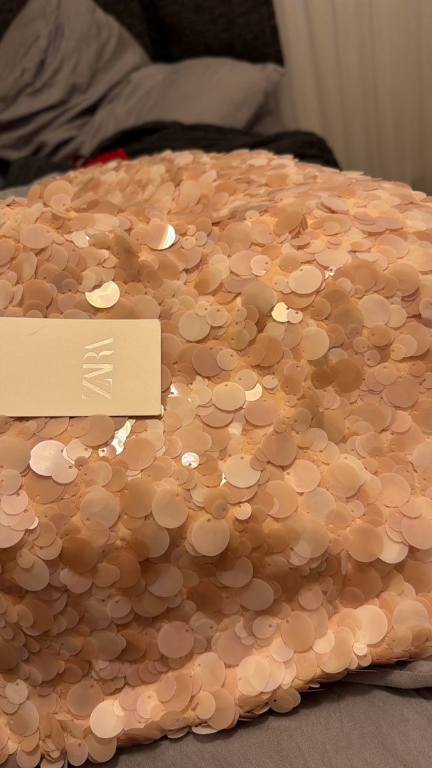 Zara pembe pullu etek - Görsel 2