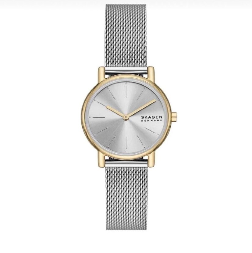 Skagen Saat - Görsel 2