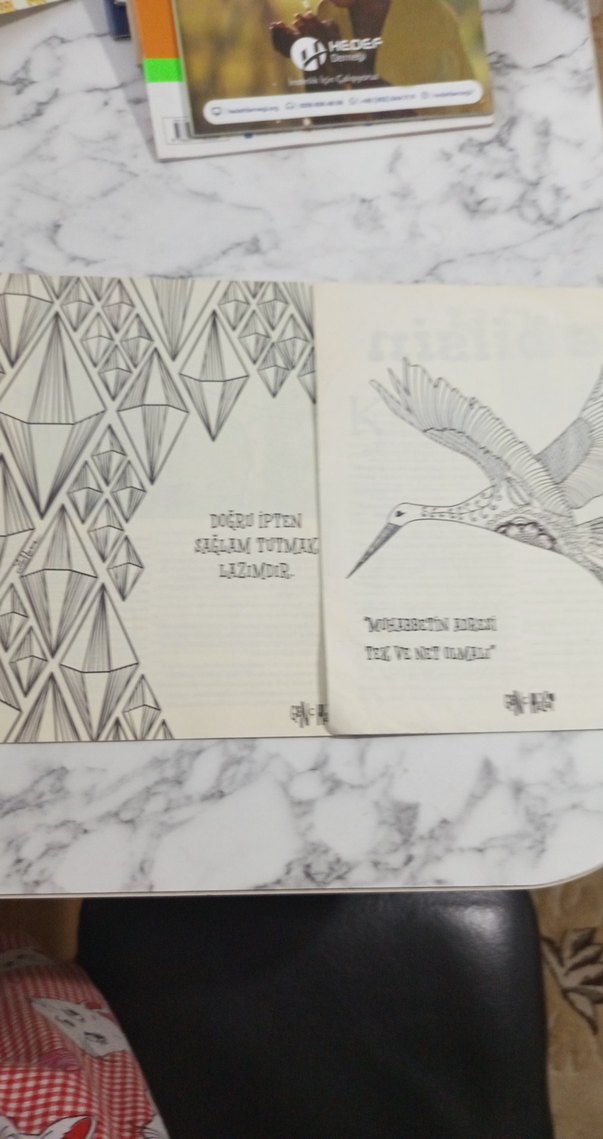 Genç Hayat Çocuk Kitapları Seti - Görsel 2