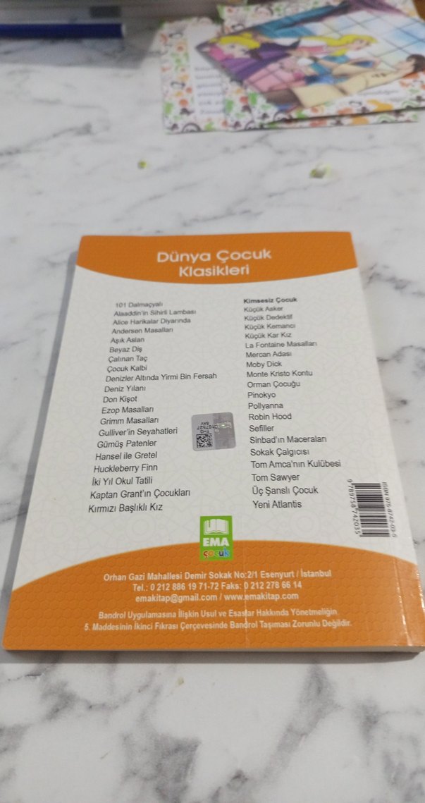 Kimsesiz Çocuk - Hector Malot - Görsel 2