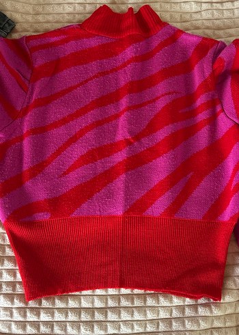 Renkli Zebra Desenli Balıkçı Yaka Kadın Kazak - Görsel 3