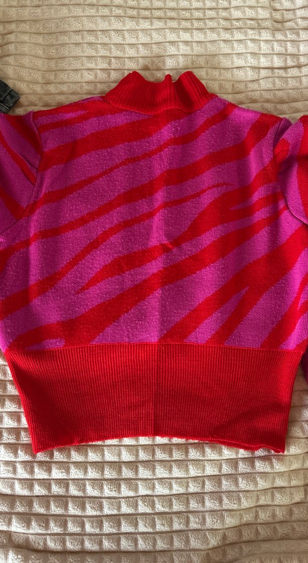 Renkli Zebra Desenli Balıkçı Yaka Kadın Kazak - Görsel 3