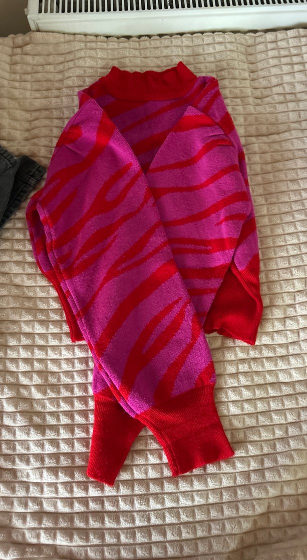 Renkli Zebra Desenli Balıkçı Yaka Kadın Kazak - Görsel 2