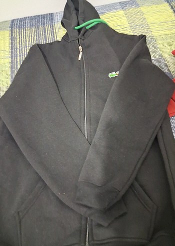 Lacoste l/xl