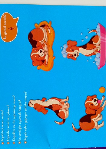 2-4 Yaş Yaz-Sil Konuşan Kitap Seti - Görsel 5