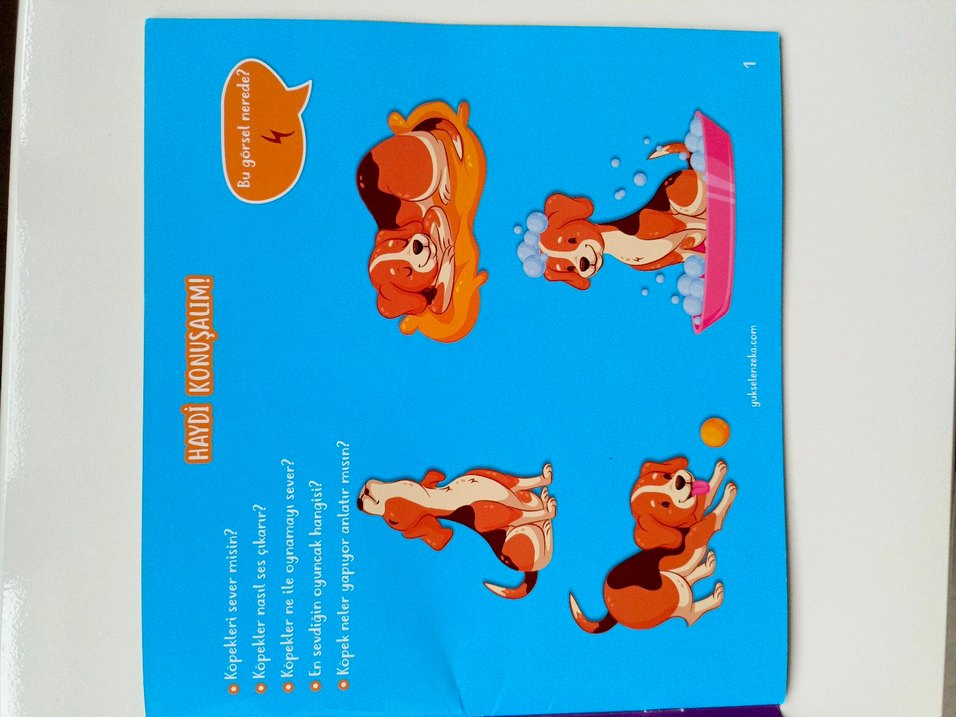 2-4 Yaş Yaz-Sil Konuşan Kitap Seti - Görsel 5