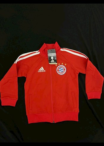 Kırmızı Adidas Bayern Münih Erkek Eşofman takımı - Görsel 2
