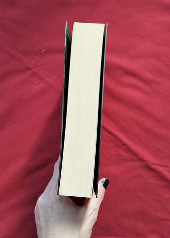 Cehennem - Dan Brown - Görsel 4