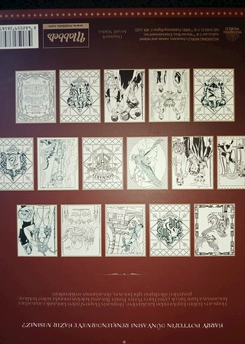 Harry Potter Poster Boyama Kitabı - Görsel 3