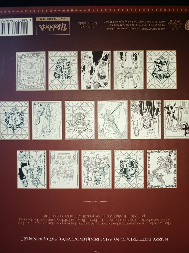 Harry Potter Poster Boyama Kitabı - Görsel 3