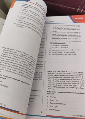 Beden 11. Sınıf Türk Dili ve Edebiyatı Soru Bankası