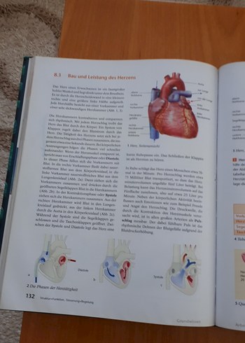 Bioskop 7/8 Gymnasium Niedersachsen Biyoloji Ders Kitabı - Görsel 7