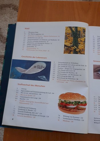 Beden Renk Bioskop 7/8 Gymnasium Niedersachsen Biyoloji Ders Kitabı
