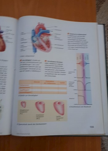 Bioskop 7/8 Gymnasium Niedersachsen Biyoloji Ders Kitabı - Görsel 8
