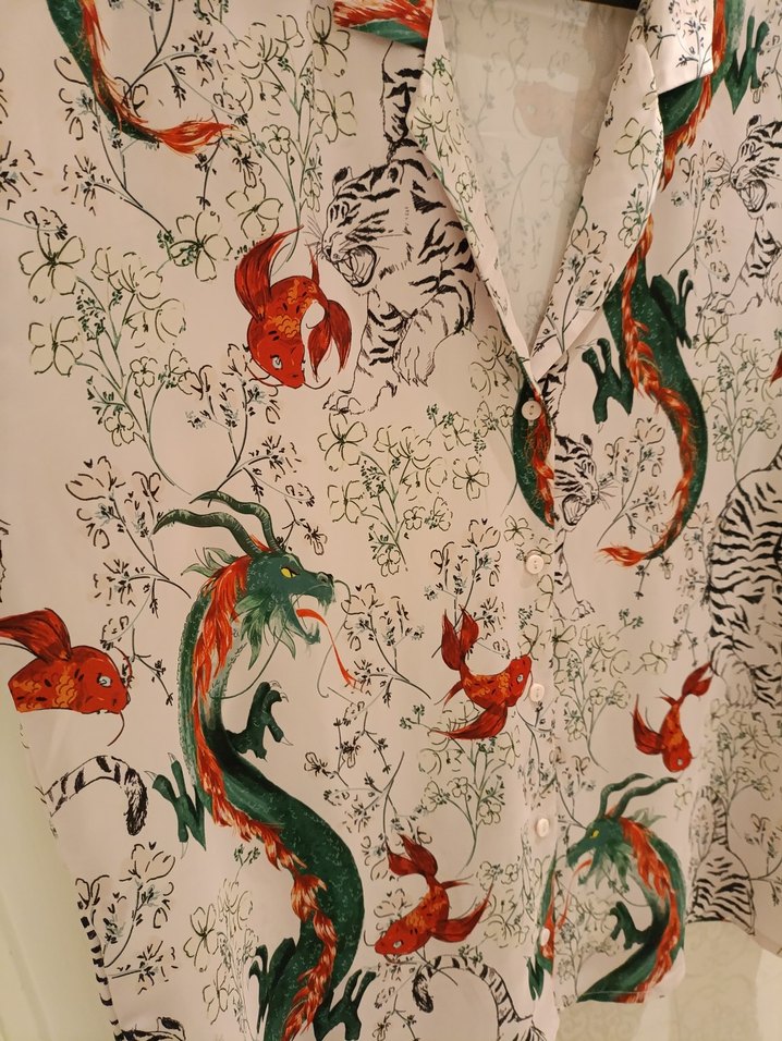 Bohem Çok Renkli Yılan Desenli V Yaka Gömlek - Görsel 2