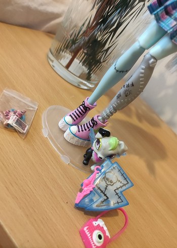 Beden Renk Monster High Frankie Stein G3