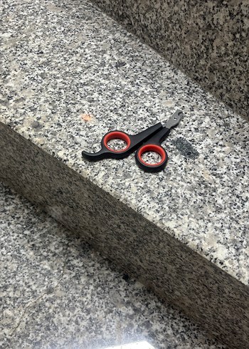 Kedi Tüy Toplama Eldiveni Mavi - Görsel 2