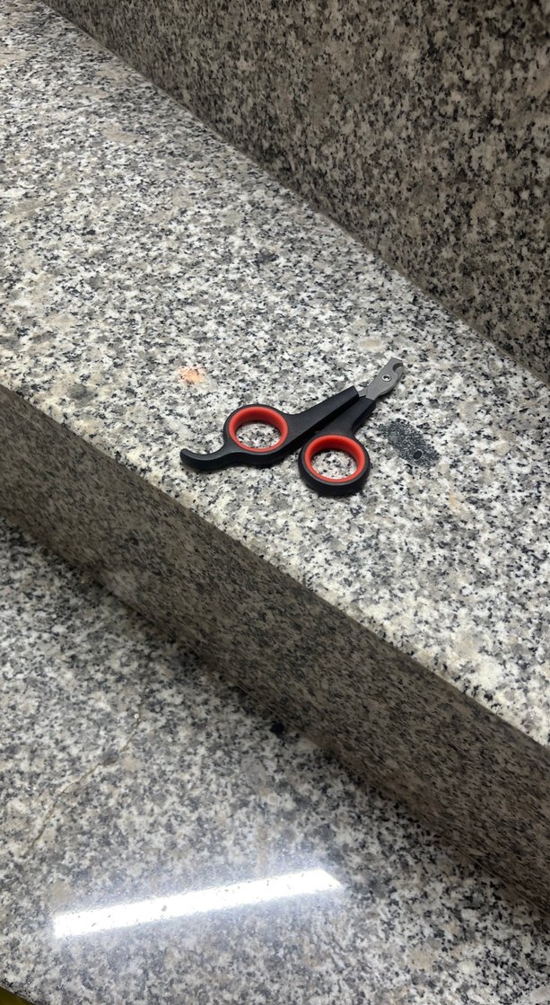 Kedi Tüy Toplama Eldiveni Mavi - Görsel 2