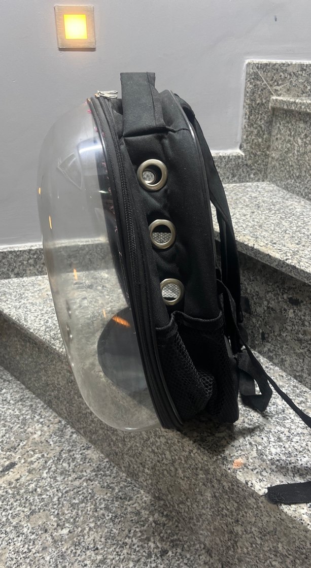 Siyah Şeffaf kedi köpek Taşıma Çantası - Görsel 2