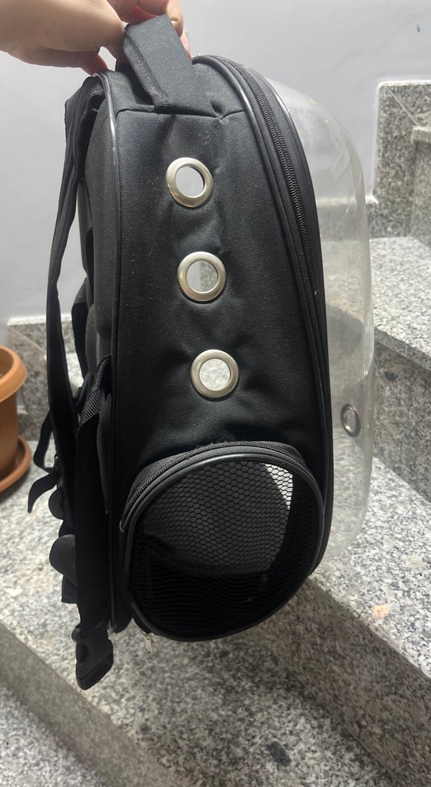 Siyah Şeffaf kedi köpek Taşıma Çantası - Görsel 4