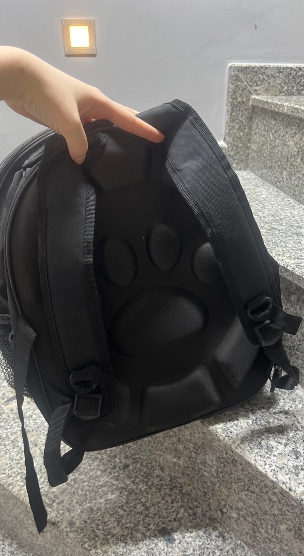 Siyah Şeffaf kedi köpek Taşıma Çantası - Görsel 3