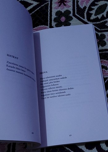 Can Yücel - Güle Güle Seslerin Sessizliği - Görsel 12