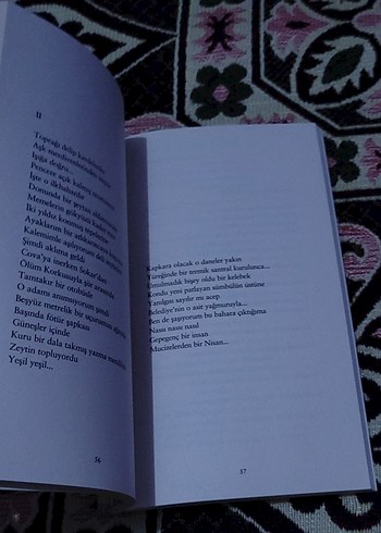 Can Yücel - Güle Güle Seslerin Sessizliği - Görsel 11