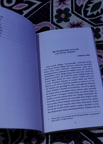 Can Yücel - Güle Güle Seslerin Sessizliği - Görsel 6