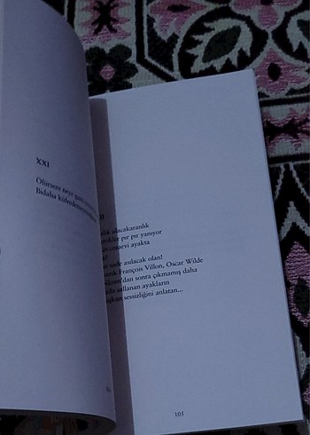 Can Yücel - Güle Güle Seslerin Sessizliği - Görsel 14