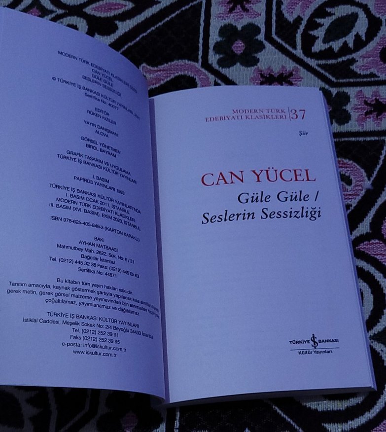 Can Yücel - Güle Güle Seslerin Sessizliği - Görsel 5
