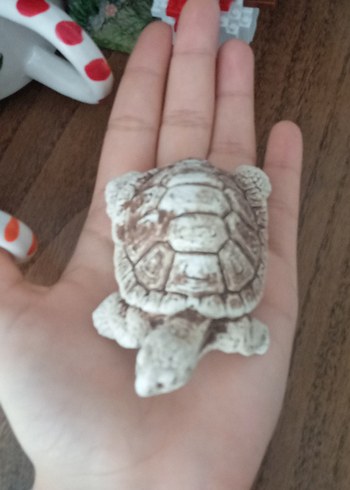 Alçı Kaplumbağa Figürü - Görsel 4