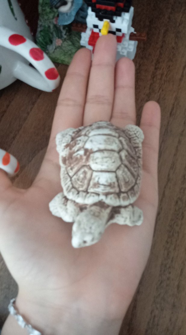 Alçı Kaplumbağa Figürü - Görsel 4