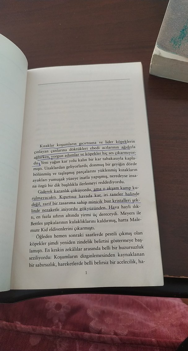 Jack London - Bir Kuzey Macerası - Görsel 3