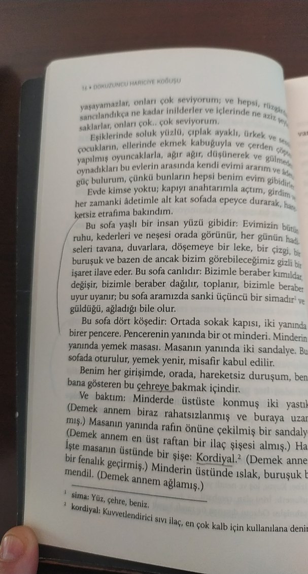 Dokuzuncu Hariciye Koğuşu - Peyami Safa - Görsel 2
