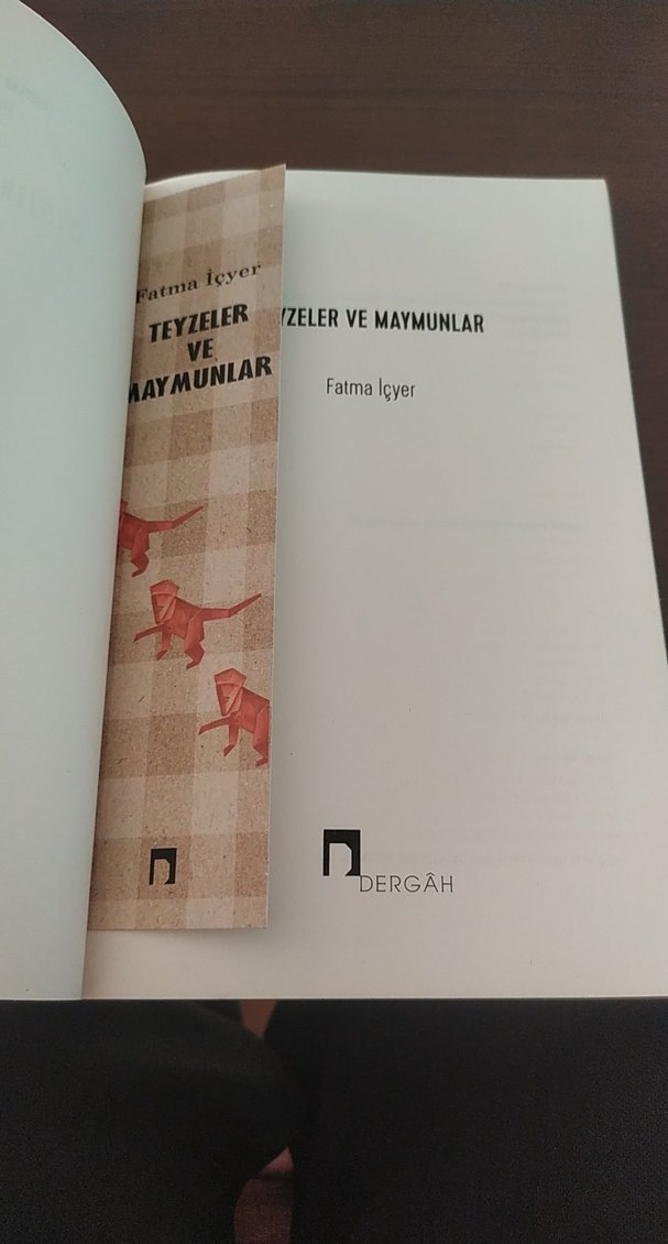Teyzeler ve Maymunlar - Fatma İçyer - Görsel 2