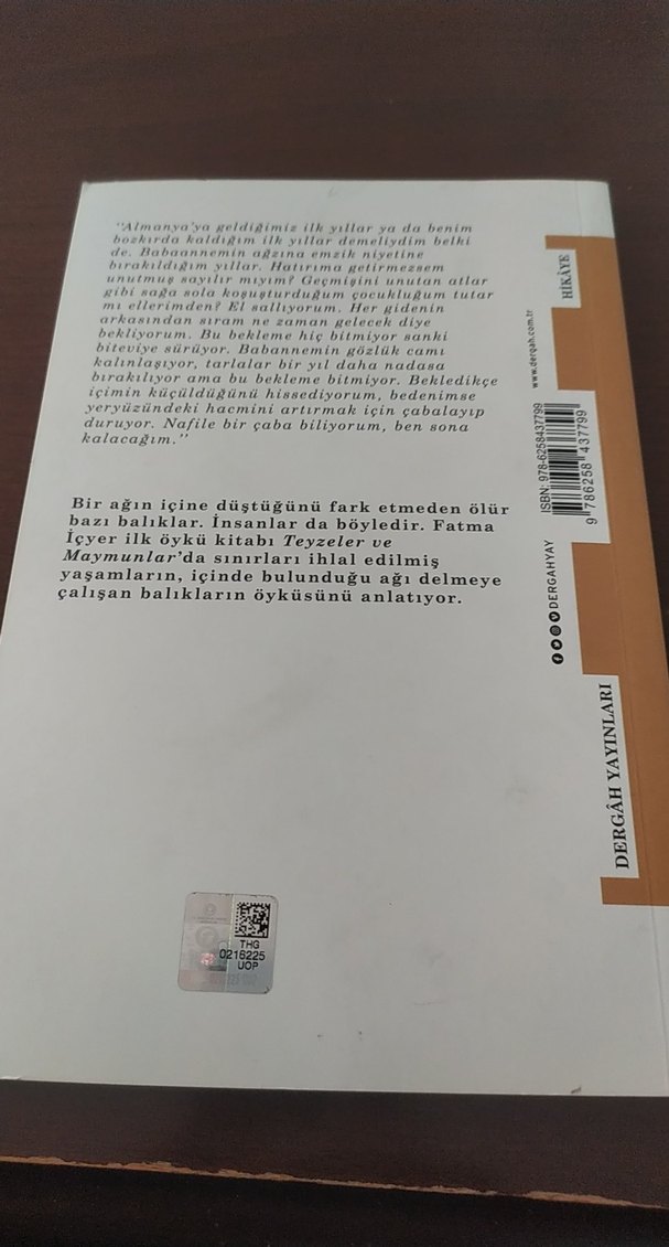 Teyzeler ve Maymunlar - Fatma İçyer - Görsel 3