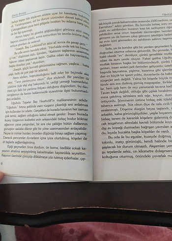 Uğultulu Tepeler - Emily Bronte - Görsel 3