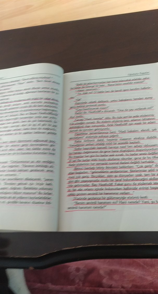 Uğultulu Tepeler - Emily Bronte - Görsel 4