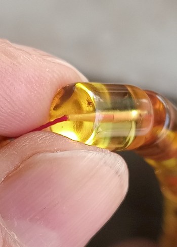 orjinal fosilli damla kehribar tesbih - Görsel 5