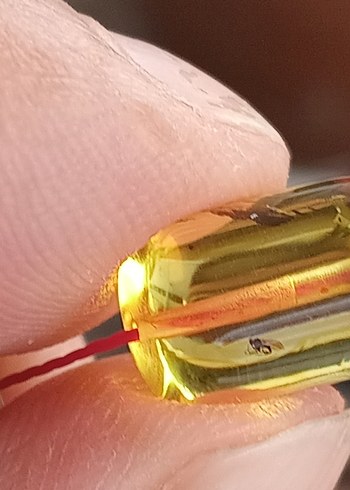 orjinal fosilli damla kehribar tesbih - Görsel 7