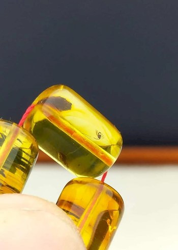 orjinal fosilli damla kehribar tesbih - Görsel 2