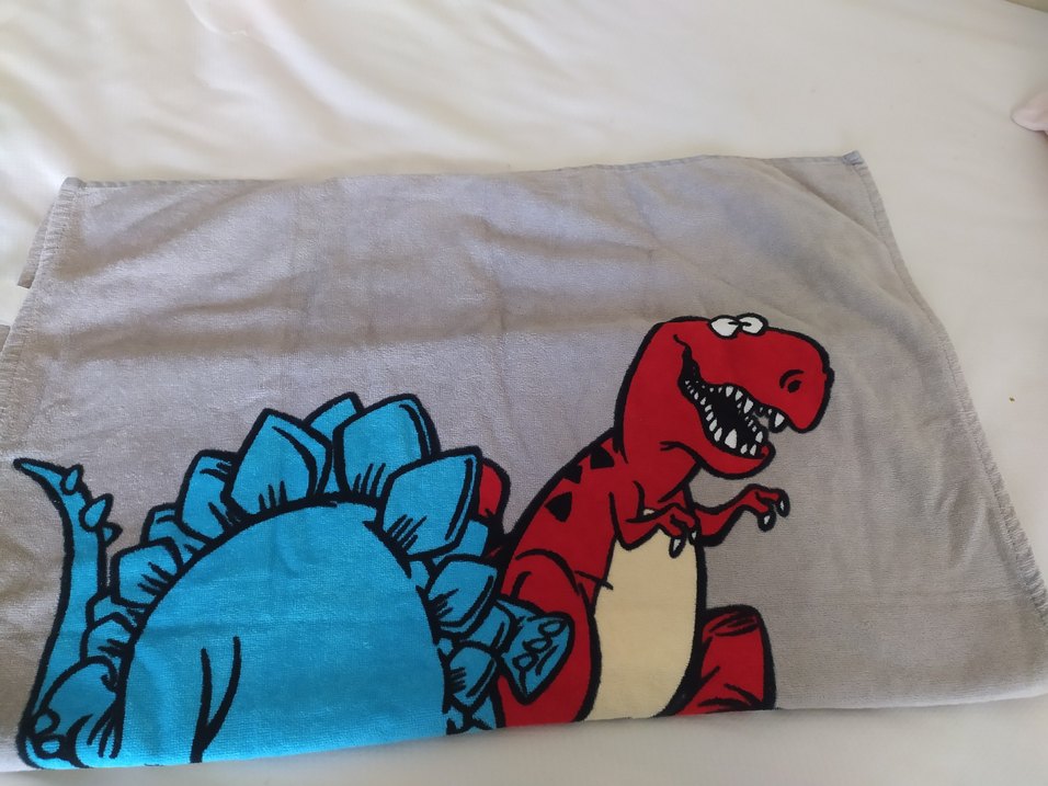 LCW marka Dinazorlu Çocuk Plaj Havlusu - Görsel 3