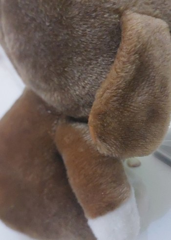  Beden Renk Pastel Kahverengi Peluş Köpek Oyuncak lulu