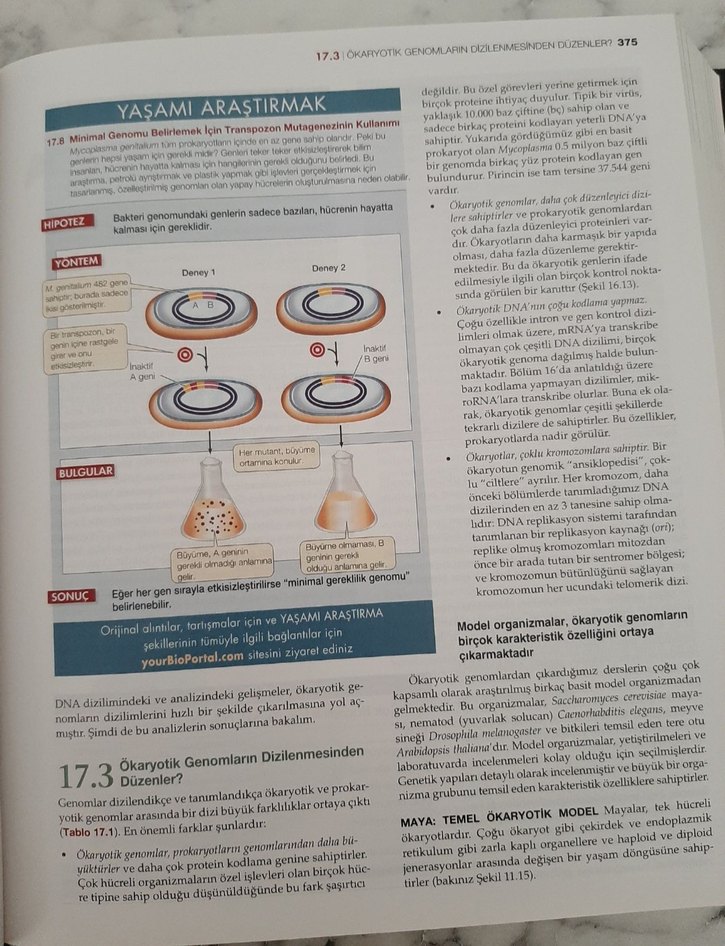 Yaşam Biyoloji Bilimi - Dokuzuncu Baskı - Görsel 3