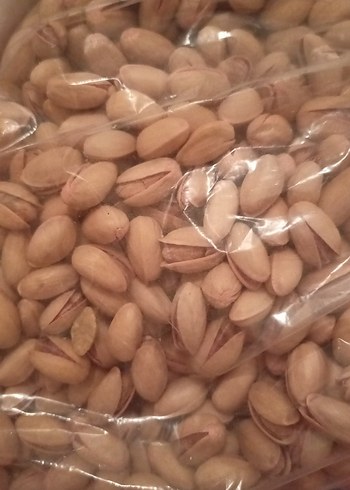 Diğer Siirt fıstığı