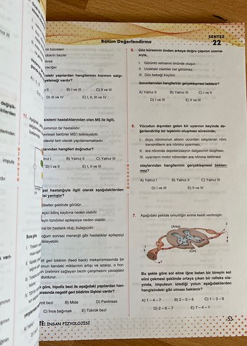  Beden Renk Biyotik 11. Sınıf Biyoloji Soru Bankası