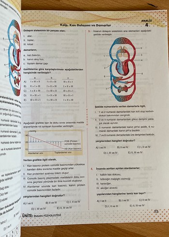  Beden Biyotik 11. Sınıf Biyoloji Soru Bankası